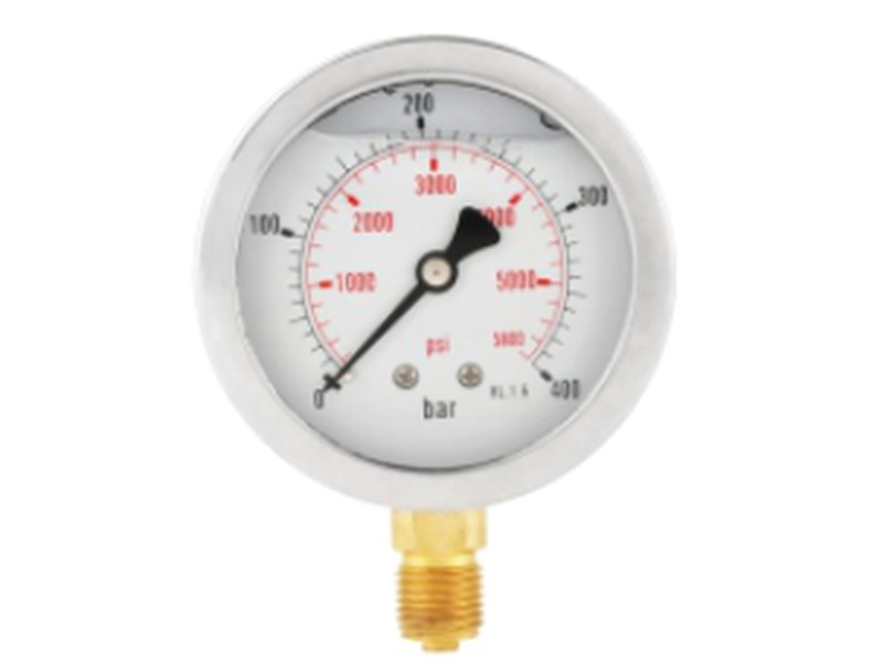 Pressure Gauges